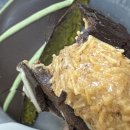 11545-02-07-06 | 26/02/06~26/02/13