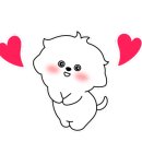 드린겐 애견테마파크 이미지