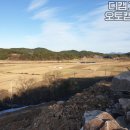 디캠 고흥 이미지