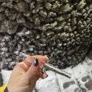 일출랜드 식물원 | 제주도 가족여행 동쪽코스 일출랜드 식물원 동백 족욕카페