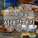 옥포갈매기 이미지