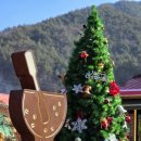 제일펜션 | 강원도 여행 중 제일 마음에 들었던 태백펜션 후기