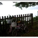 다산1리 이미지