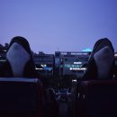 고래관광나이트 이미지