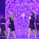 스텔라케이 이미지