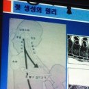 디라인(D-line) 이미지