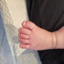 2025.08.30 라라코스트 기흥점 이미지