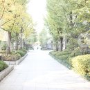 역삼어린이집 이미지