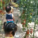 체험1박2일팜