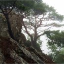 9월 17일 (수) 충북/보은, 경북/상주 속리산 국립공원 묘봉 산행 안내 이미지