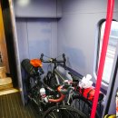 뉴헤이븐 이미지