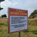 모다주유소 | 서해안고속도로 휴게소 애견동반 행담도 모다아울렛 애견파크