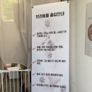 성진개발(주) | 천안 대형 카페 추천 노트밀🫶