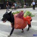일일일영 이미지