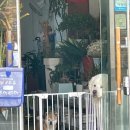 올래.네일 이미지