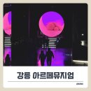 강릉 핫플 아르떼뮤지엄의 달토끼특별전 관람시간과 할인 꿀팁!