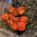 제남농장 | 어니의 24-27일 일상 (24,25일을 중심으로)