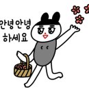 파란갈매기 이미지