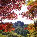 삼성고속관광여행사