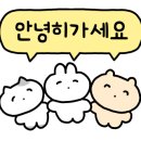 금오산풍천민물장어 네이버블로그