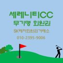 SK레저회원권거래소 이미지