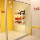 코닥스튜디오 이미지