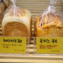 돌코롬양과