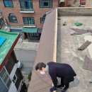 수정칼라 이미지