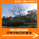 독산3동 주민센터 | 성남 벌목업체 주택 주변 나무 제거