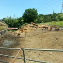 최한수농장 이미지