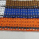 용인대독수리태권도 이미지