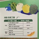 대가야문화누리 | 2025 고령 멜빙축제 더위를 날려주는 멜론과 빙수의 축제 방문 후기