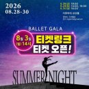 야호PC | 백조의 호수 with 홍향기, 전민철 앤나 한여름밤의 발레 축제 후기 씁니다