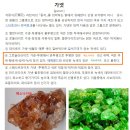 핑크래디 14k최상급 Hessonite 가넷 다이아 귀걸이195000 이미지