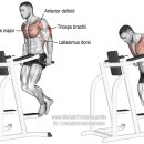 V10휘트니스 이미지