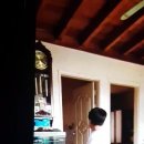 아비가엘 이미지