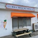 카카오 이미지