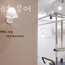 현대자동차 태화점 | 분당구 정자동 필라테스 필라테스 무어 위치.가격.시간.후기