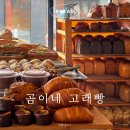 곰이네 이미지
