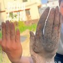 서씨농장 이미지