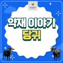 30년 전통의 염소명가 윤평남의 늘푸른흑염소 영농조합법인에서 전해드리는 약재 이야기(당귀)