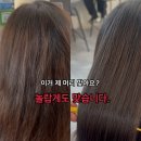 헤어오브제