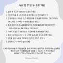 슬링뷰티