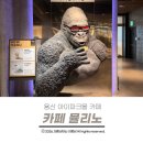고릴라커피 - 영주시 번영로 158 | 용산 아이파크몰 카페 탁트인 시티뷰와 갤러리 감성 가득한 뮬리노에 고릴라떼 먹은 후기