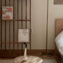 덕스테이 네이버블로그