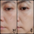 뜨거운 여름 톤업쿠션 추천 노워터 티트리 데이데이 톤업 선쿠션