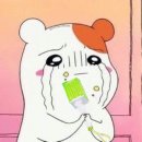 합성동260 | 마지막2024