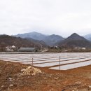 소백산자락길 제5코스 Daum카페