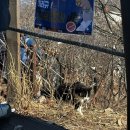 계양산성박물관 | 등산 기록 - 인천 계양산 등산후기 (계양산성박물관 코스, 초보자추천, 주차)