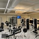 TEMPLE GYM (템플짐) 이미지